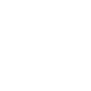 Technische Daten